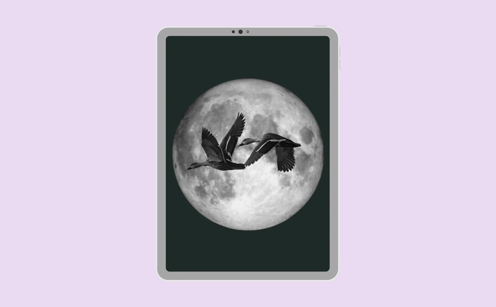 Wallpaper preview on tablet
