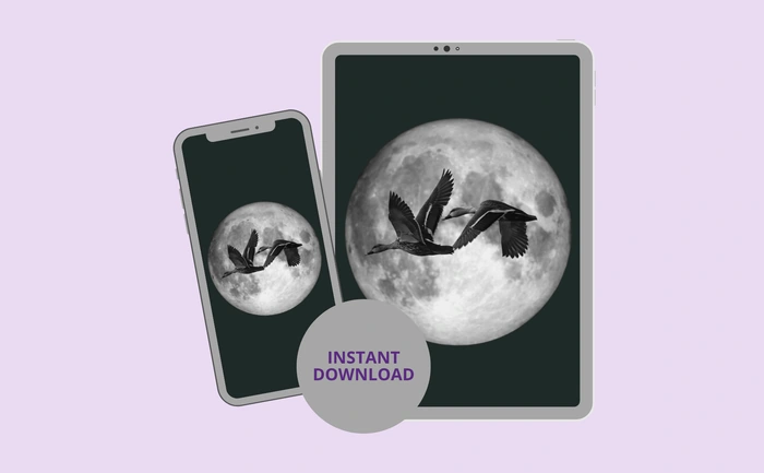 Instant download for phone and tablet