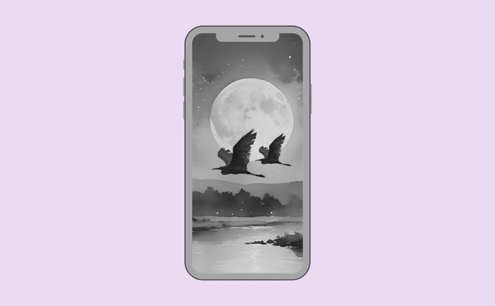 Wallpaper preview on smartphone