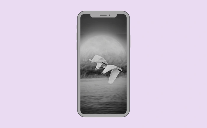 Wallpaper preview on smartphone