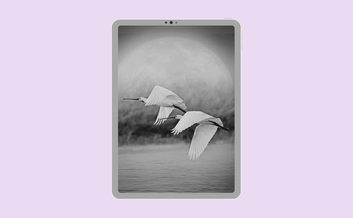 Wallpaper preview on tablet