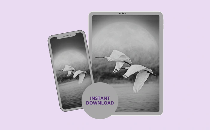 Instant download for phone and tablet