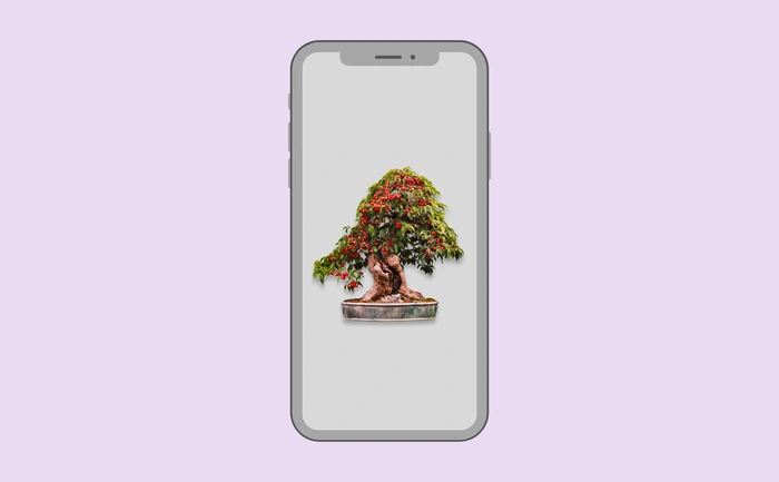 Wallpaper preview on smartphone