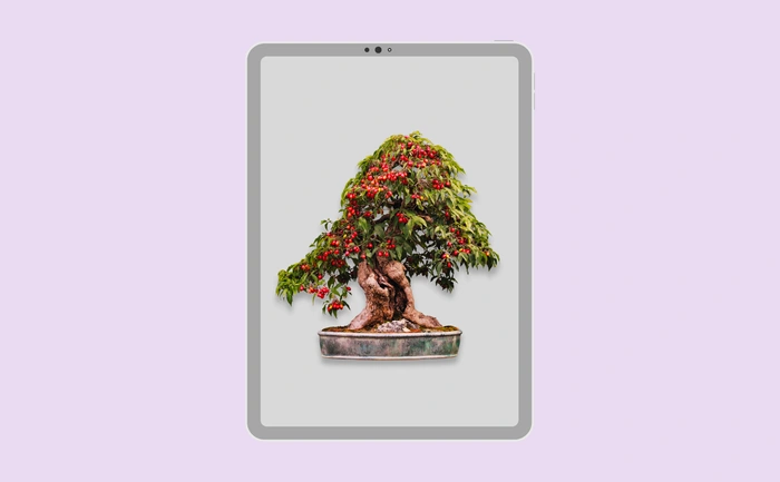 Wallpaper preview on tablet