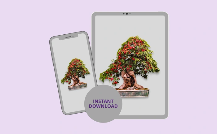 Instant download for phone and tablet