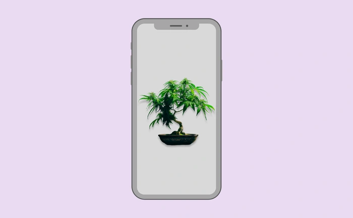 Wallpaper preview on smartphone