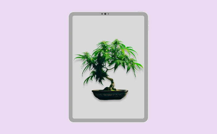 Wallpaper preview on tablet