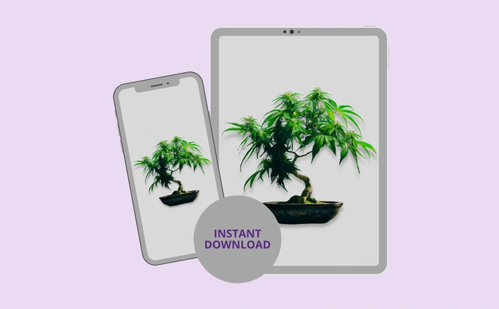 Instant download for phone and tablet