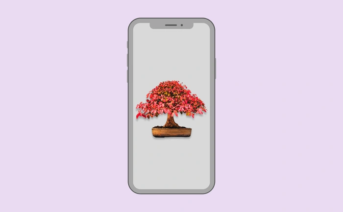 Wallpaper preview on smartphone