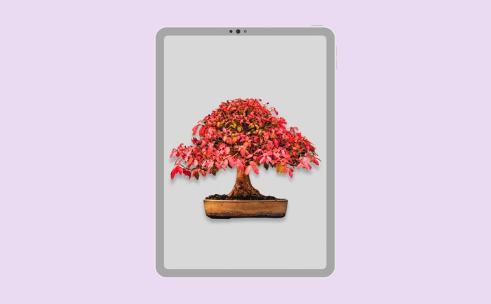 Wallpaper preview on tablet