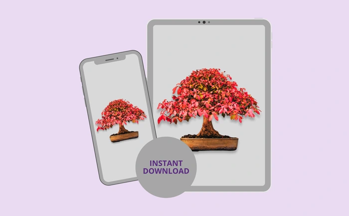 Instant download for phone and tablet