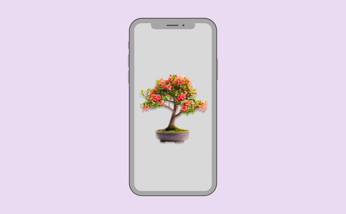Wallpaper preview on smartphone