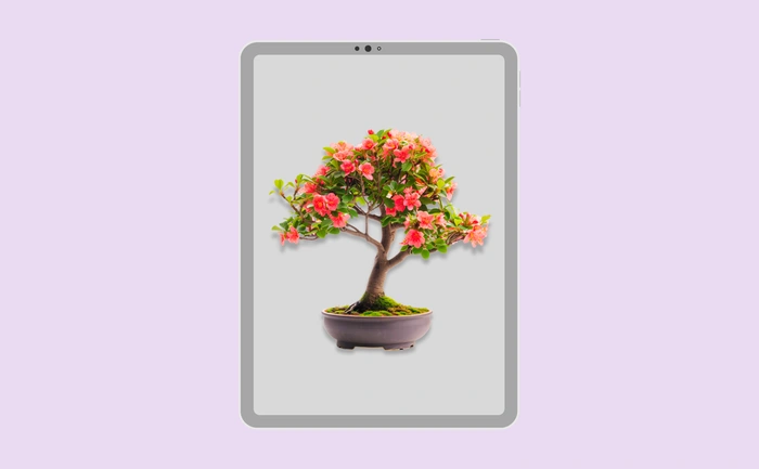 Wallpaper preview on tablet