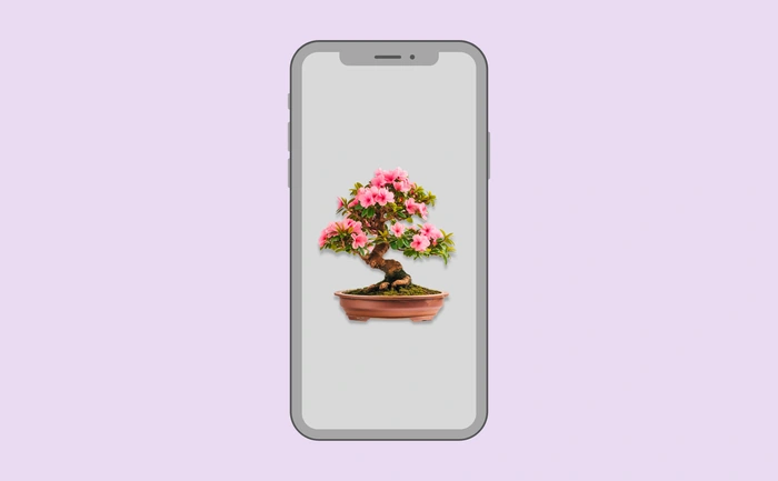 Wallpaper preview on smartphone