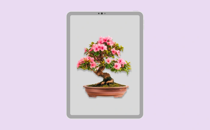 Wallpaper preview on tablet