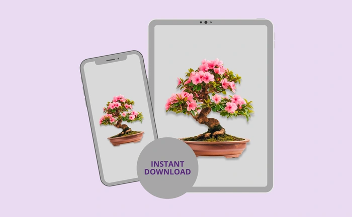Instant download for phone and tablet