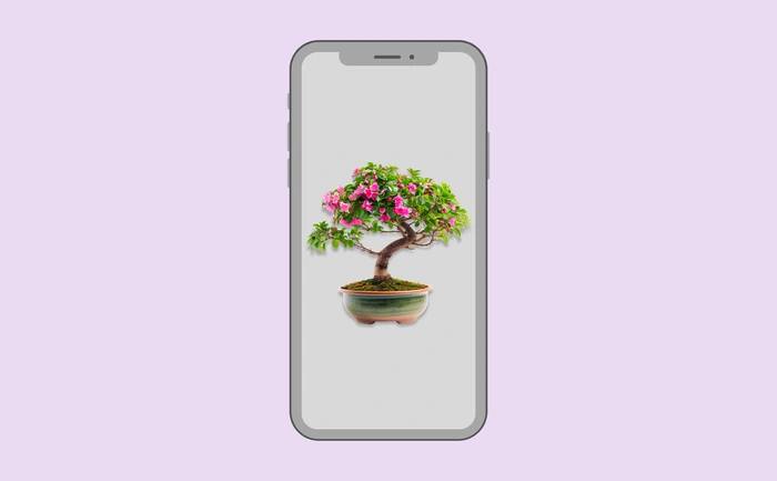 Wallpaper preview on smartphone