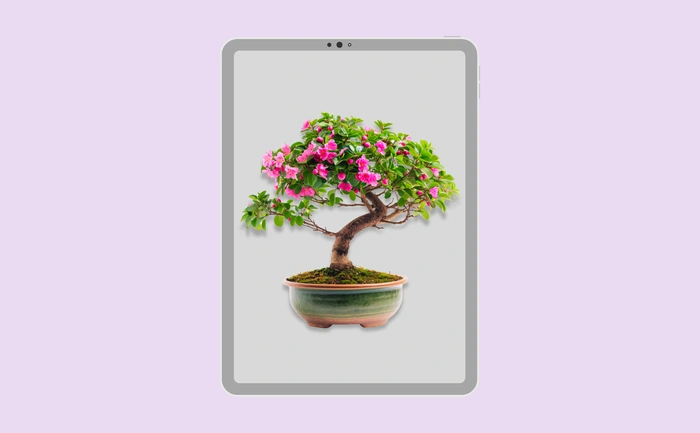 Wallpaper preview on tablet