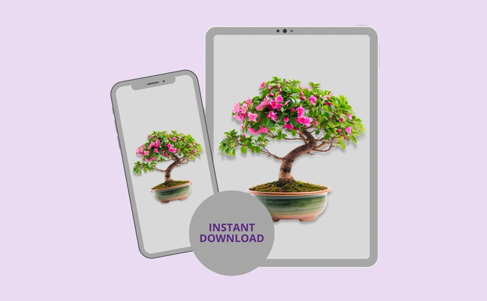 Instant download for phone and tablet