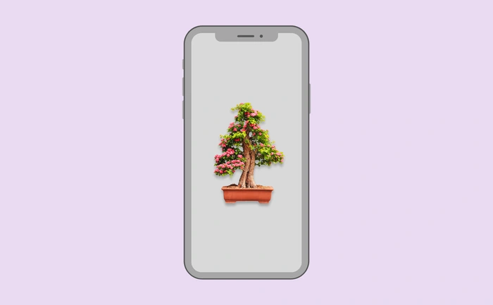 Wallpaper preview on smartphone