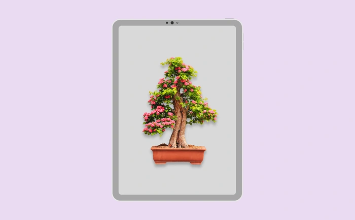 Wallpaper preview on tablet