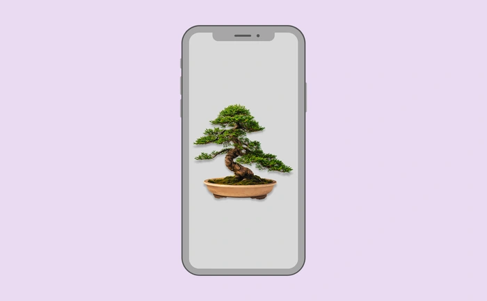 Wallpaper preview on smartphone