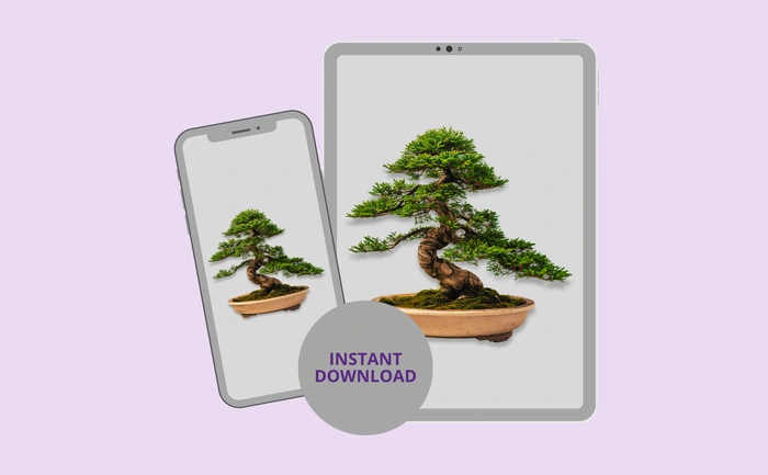 Instant download for phone and tablet