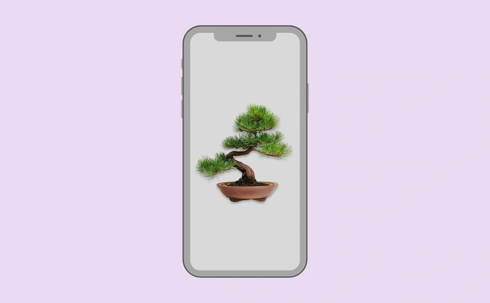 Wallpaper preview on smartphone