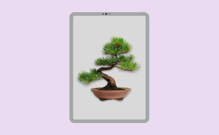 Wallpaper preview on tablet
