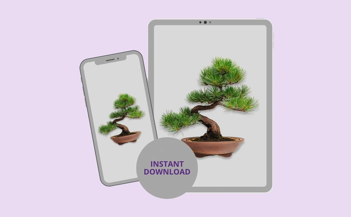 Instant download for phone and tablet