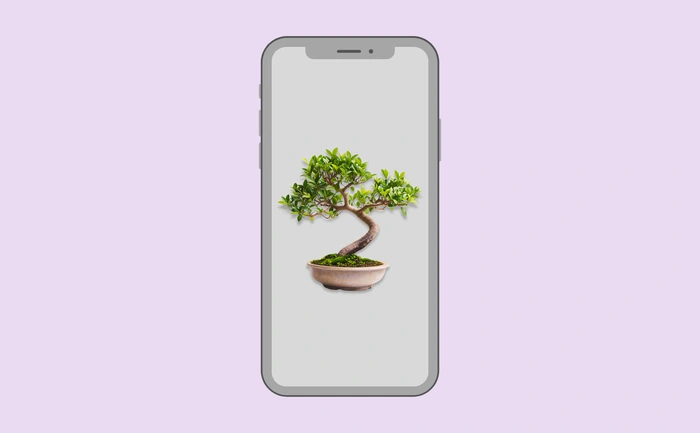 Wallpaper preview on smartphone