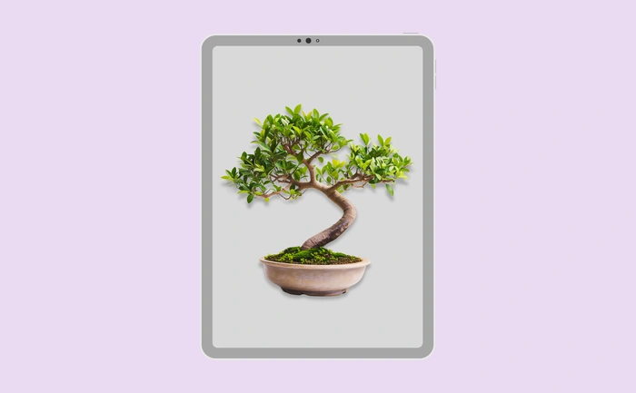 Wallpaper preview on tablet