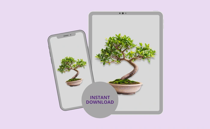 Instant download for phone and tablet