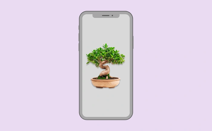 Wallpaper preview on smartphone