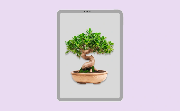 Wallpaper preview on tablet