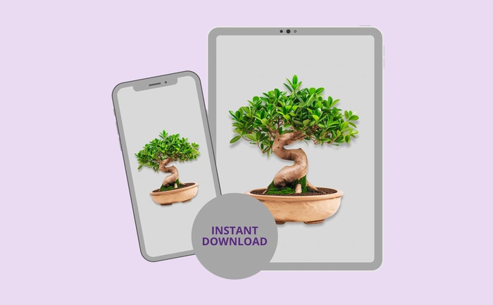 Instant download for phone and tablet