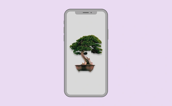 Wallpaper preview on smartphone