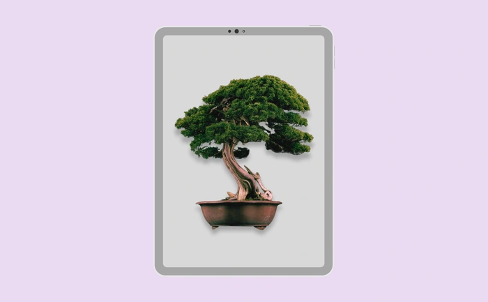 Wallpaper preview on tablet