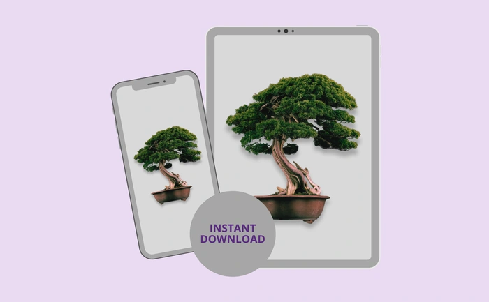 Instant download for phone and tablet