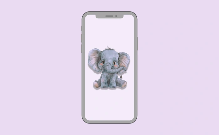 Wallpaper preview on smartphone
