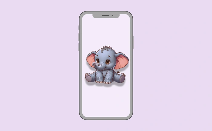Wallpaper preview on smartphone
