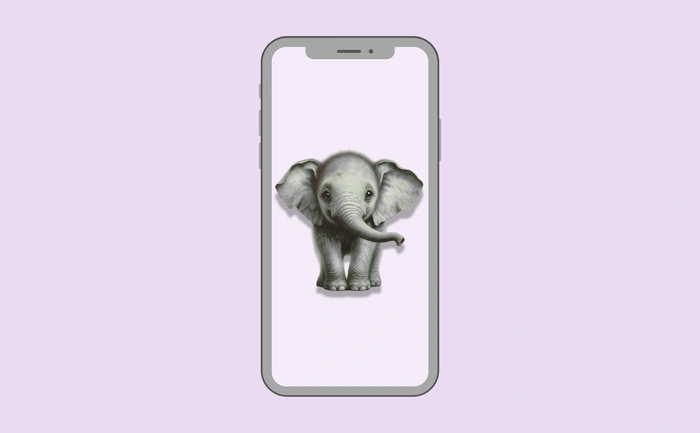 Wallpaper preview on smartphone