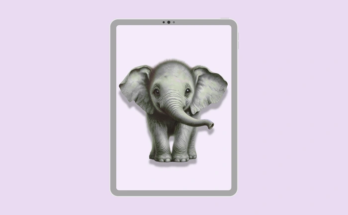 Wallpaper preview on tablet
