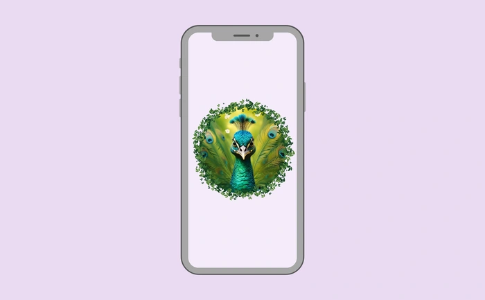 Wallpaper preview on smartphone