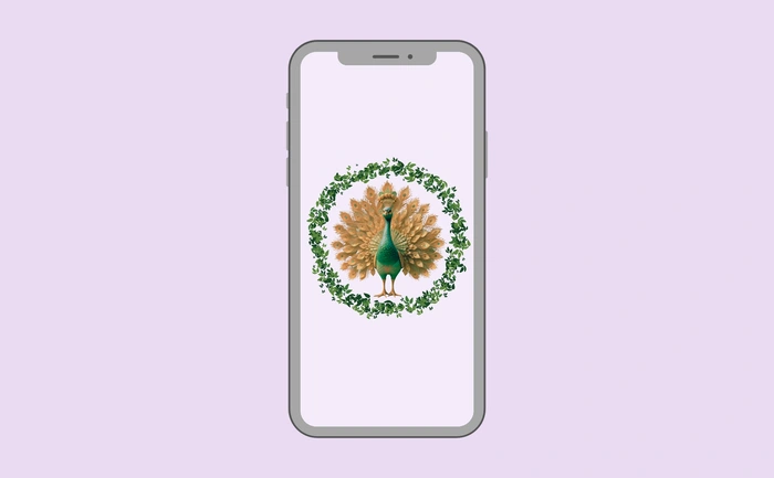 Wallpaper preview on smartphone