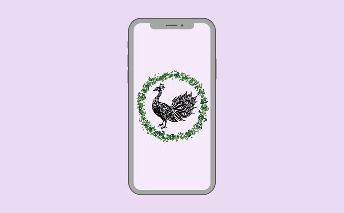 Wallpaper preview on smartphone