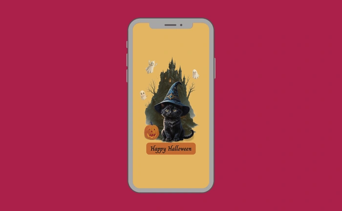Wallpaper preview on smartphone