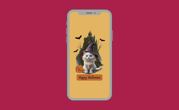 Wallpaper preview on smartphone