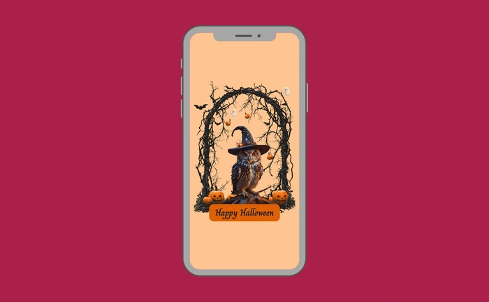 Wallpaper preview on smartphone