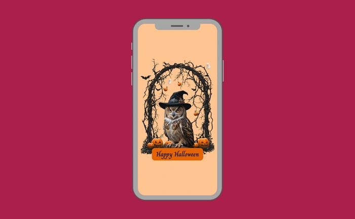 Wallpaper preview on smartphone